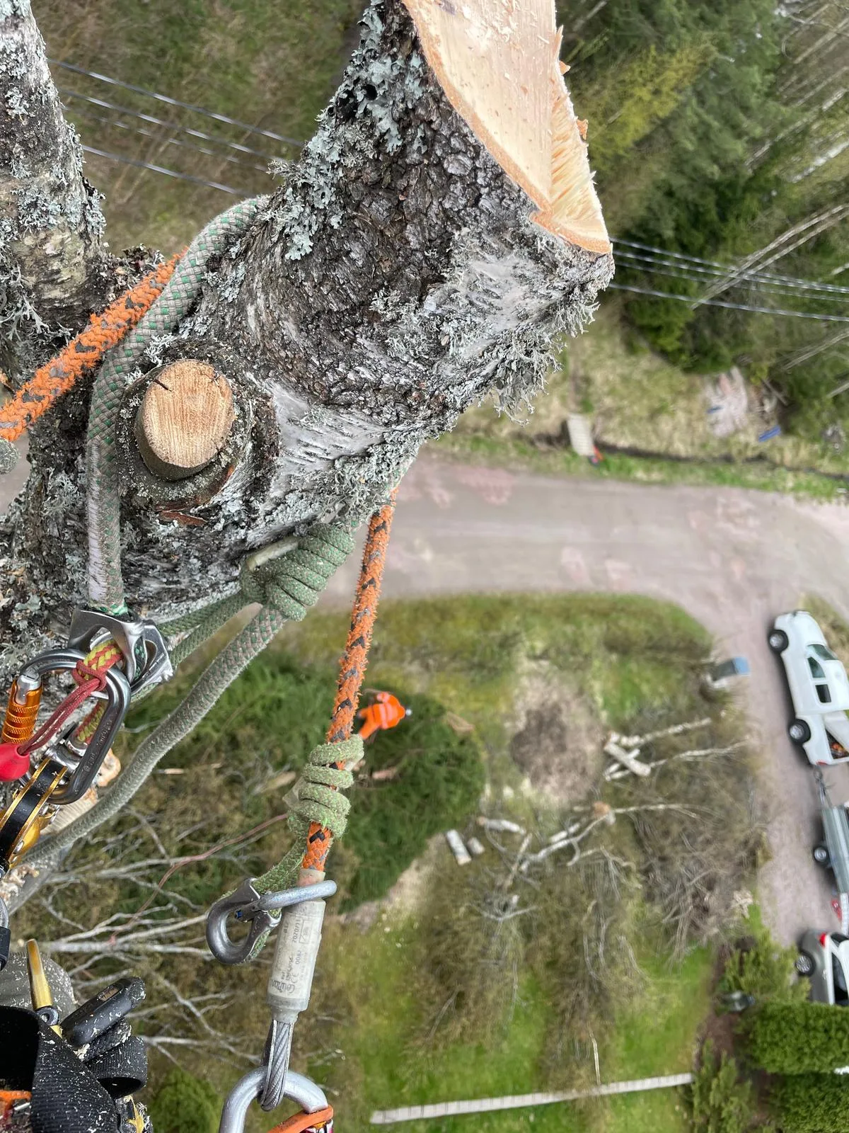 Puunkaato arboristitekniikoilla